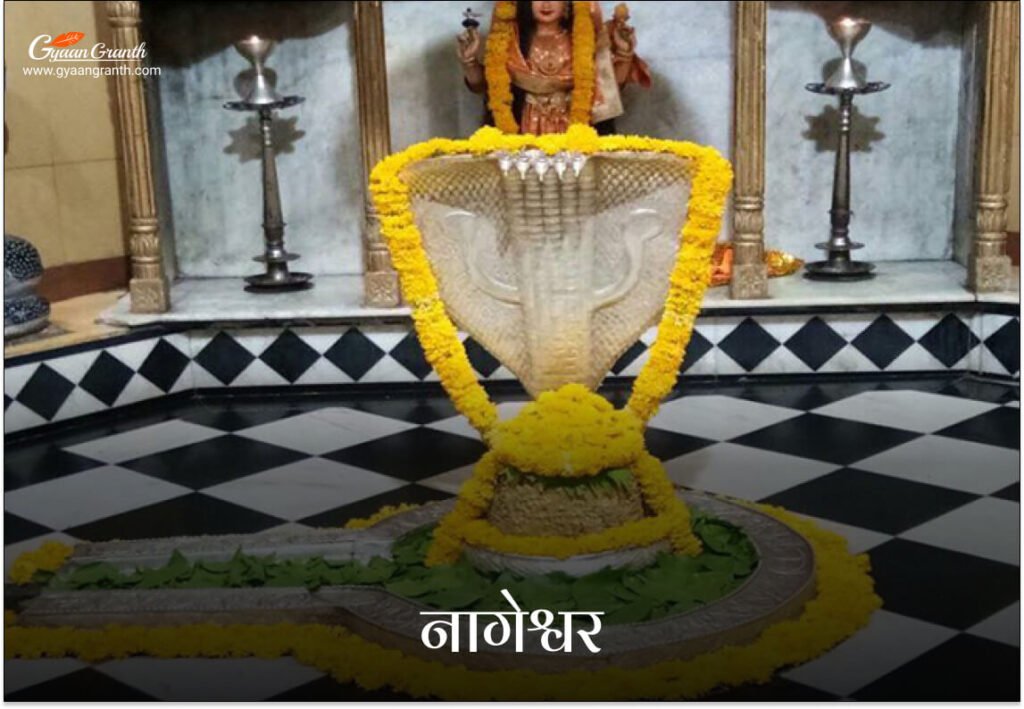 नागेश्वर ज्योतिर्लिंग (गुजरात)