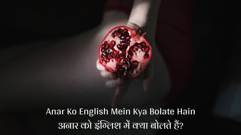 Anar Ko English Mein Kya Bolate Hain