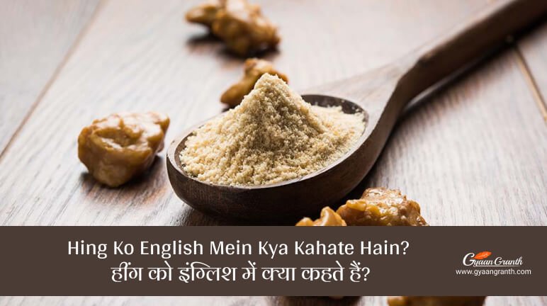 Hing Ko English Mein Kya Kahate Hain
