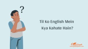 Til Ko English Mein Kya Kahate Hain