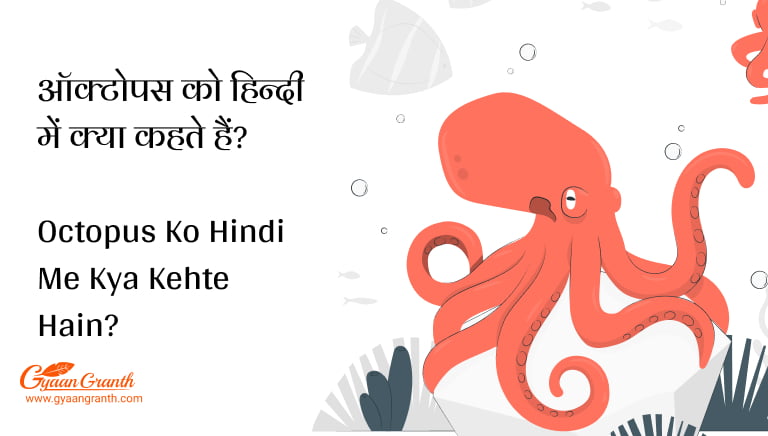 ऑक्टोपस को हिन्दी में क्या कहते हैं?