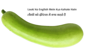 लौकी को इंग्लिश में क्या कहते हैं - Lauki Ko English Mein Kya Kahate Hain