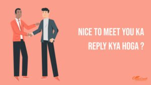 Nice To Meet You Ka Reply Kya Hoga