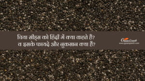 चिया सीड्स को हिंदी में क्या कहते हैं