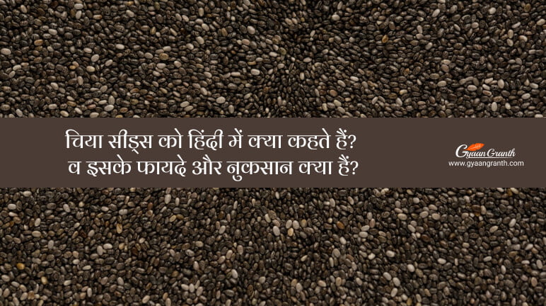 चिया सीड्स को हिंदी में क्या कहते हैं