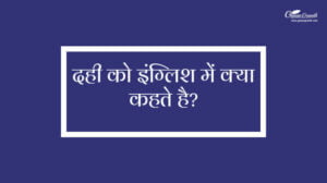 Dahi Ko English Mein Kya Kahate Hain