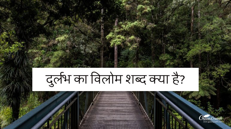 दुर्लभ का विलोम शब्द क्या है?