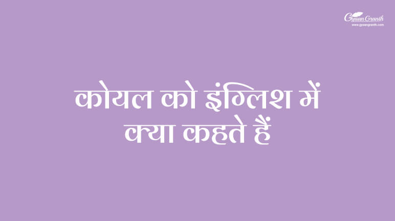 Koyal Ko English Mein Kya Kahate Hain