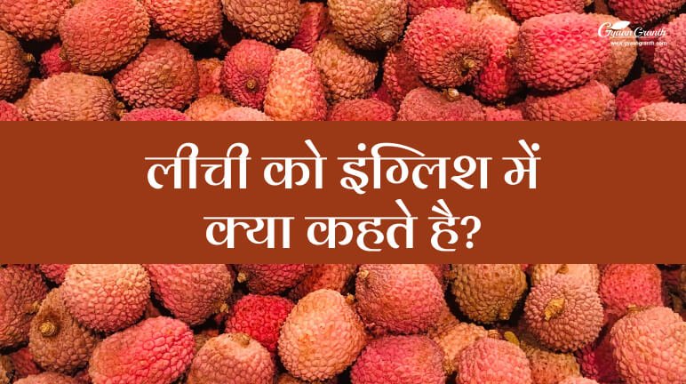 Lichi Ko English Mein Kya Kahate Hain