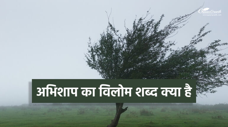 अभिशाप का विलोम शब्द क्या है