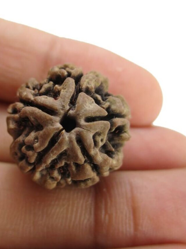 5 मुखी रुद्राक्ष पहनने के फायदे