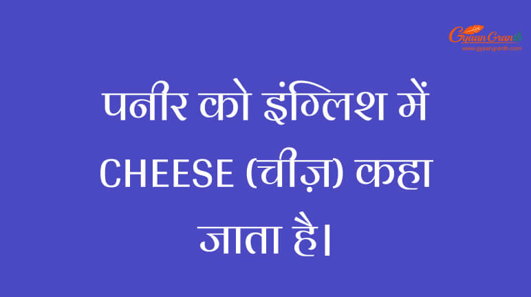 paneer ko english mein kya kahate he