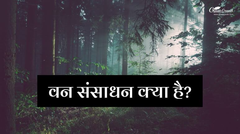 वन संसाधन क्या है?