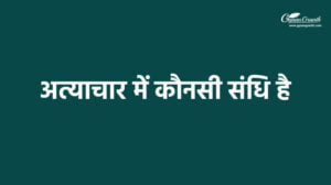 अत्याचार में कौनसी संधि है?