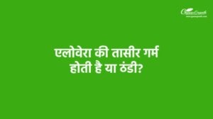 एलोवेरा की तासीर गर्म होती है या ठंडी?