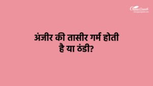 अंजीर की तासीर गर्म होती है या ठंडी?