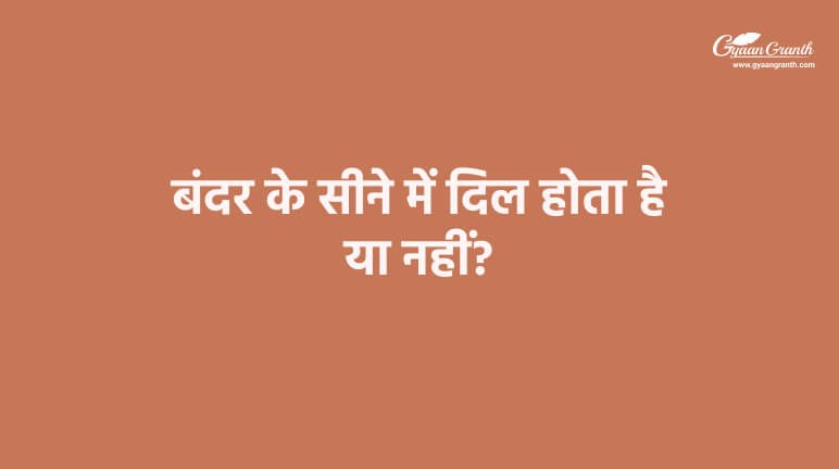 बंदर के सीने में दिल होता है या नहीं?
