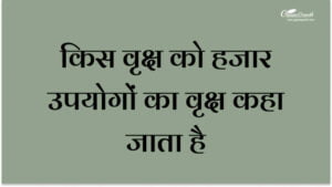 किस वृक्ष को हजार उपयोगों का वृक्ष कहा जाता है?
