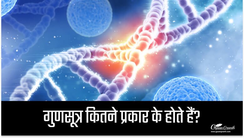 गुणसूत्र कितने प्रकार के होते हैं?