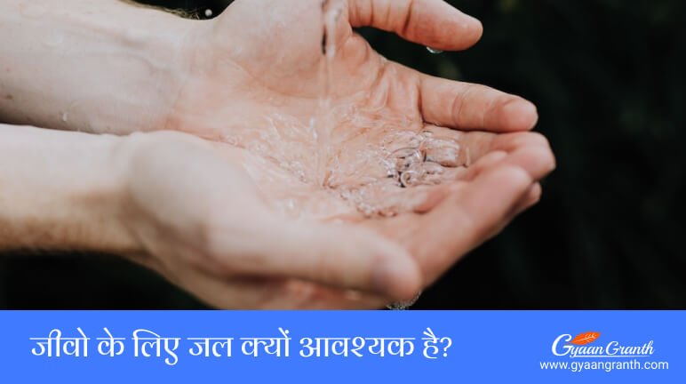 जीवो के लिए जल क्यों आवश्यक है