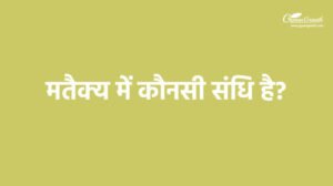 मतैक्य में कौनसी संधि है?