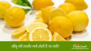 नींबू की तासीर गर्म होती है या ठंडी