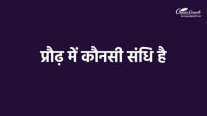 प्रौढ़ में कौनसी संधि है?