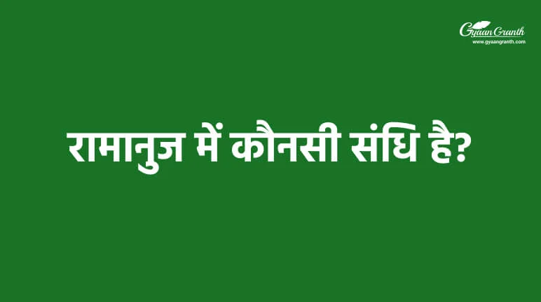 रामानुज में कौनसी संधि है?