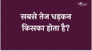 सबसे तेज धड़कन किसका होता है