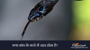 क्या सांप के बच्चे में जहर होता है