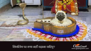 शिवलिंग पर क्या नहीं चढ़ाना चाहिए