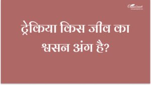 ट्रेकिया किस जीव का श्वसन अंग है?