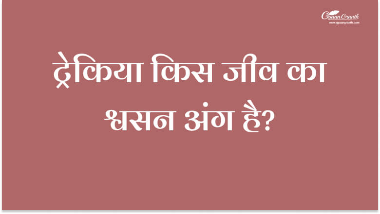 ट्रेकिया किस जीव का श्वसन अंग है?