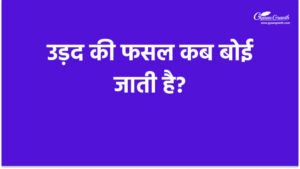 उड़द की फसल कब बोई जाती है?