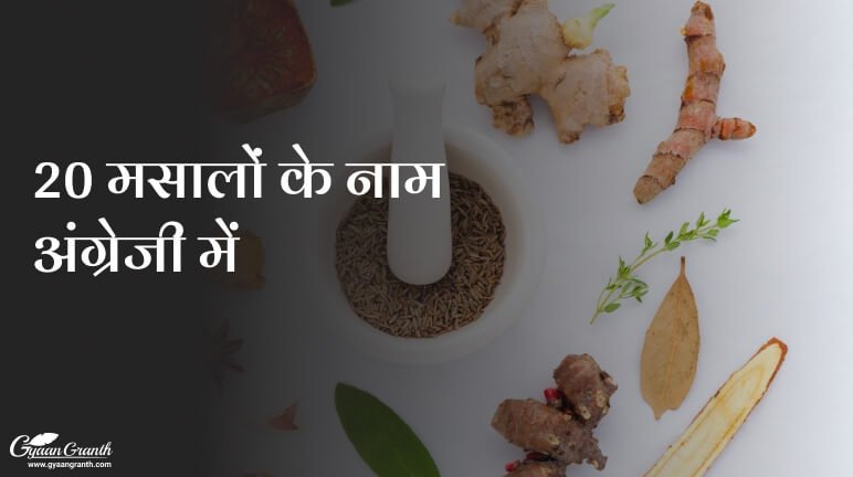 20 मसालों के नाम अंग्रेजी में