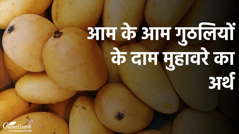 आम के आम गुठलियों के दाम मुहावरे का अर्थ