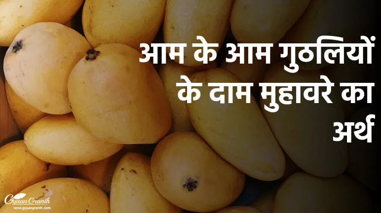 आम के आम गुठलियों के दाम मुहावरे का अर्थ