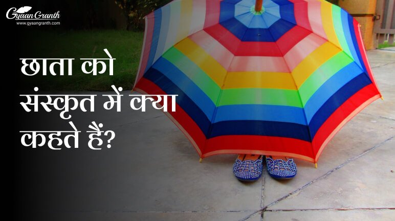 छाता को संस्कृत में क्या कहते हैं