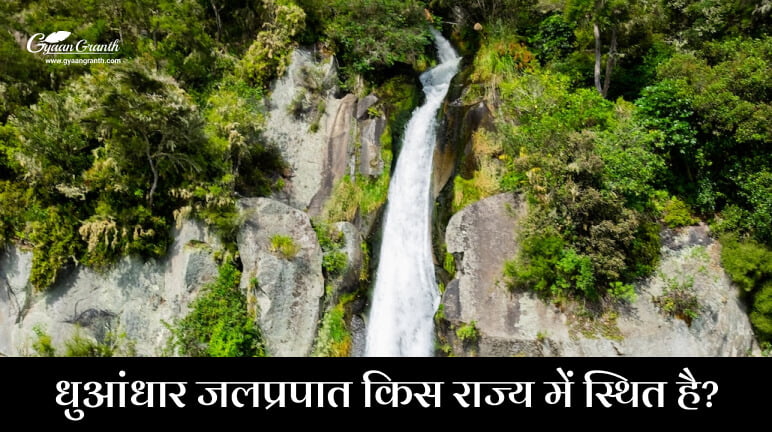 धुआंधार जलप्रपात किस राज्य में स्थित है