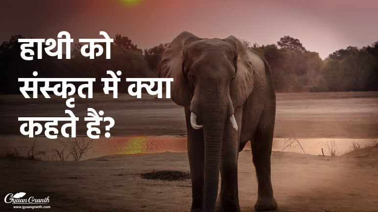हाथी को संस्कृत में क्या कहते हैं