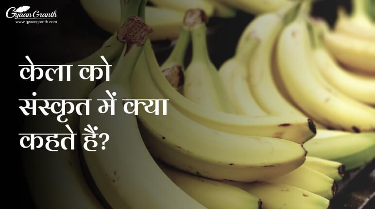 केला को संस्कृत में क्या कहते हैं?