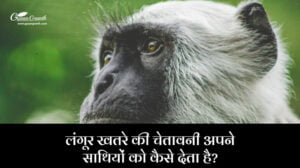 लंगूर खतरे की चेतावनी अपने साथियों को कैसे देता है