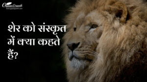 शेर को संस्कृत में क्या कहते हैं?