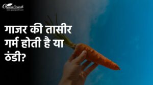 गाजर की तासीर गर्म होती है या ठंडी?