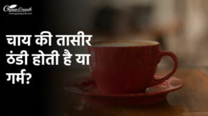 चाय की तासीर ठंडी होती है या गर्म?