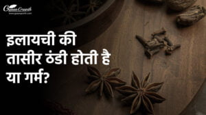 इलायची की तासीर ठंडी होती है या गर्म?