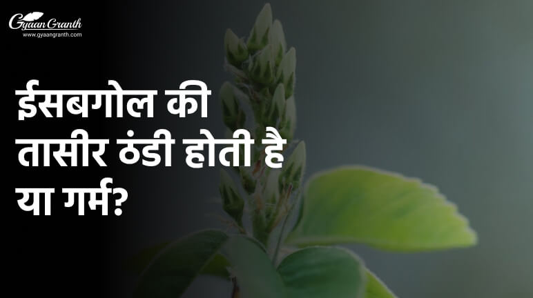 ईसबगोल की तासीर ठंडी होती है या गर्म?