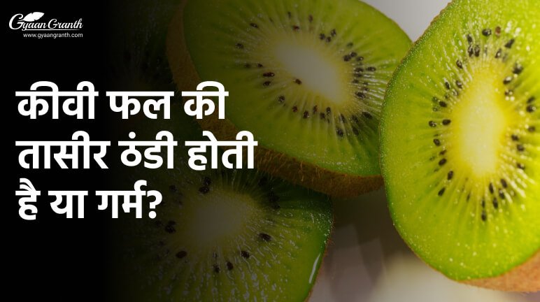 कीवी फल की तासीर ठंडी होती है या गर्म