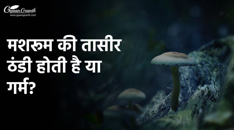 मशरूम की तासीर ठंडी होती है या गर्म?
