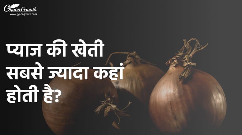 प्याज की खेती सबसे ज्यादा कहां होती है